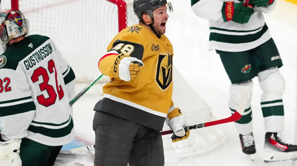 Tomáš Hertl slaví gól