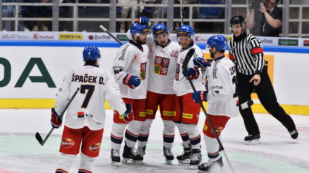 Český národní tým