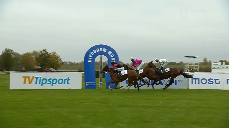 Cena zimního favorita