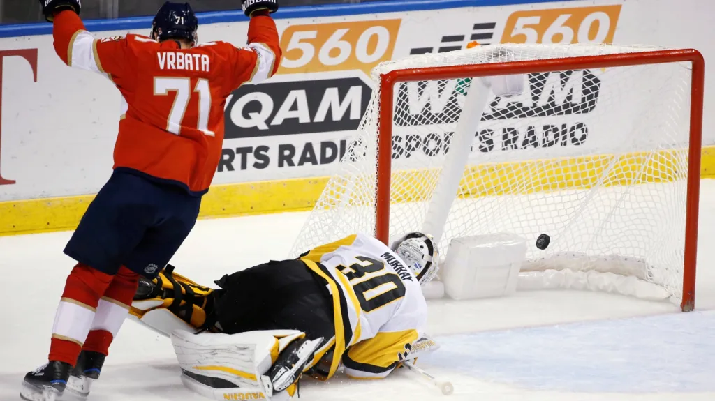 Radost Radima Vrbaty