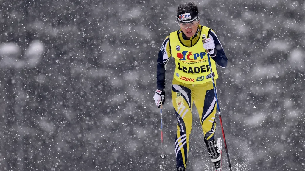 Kateřina Beroušková