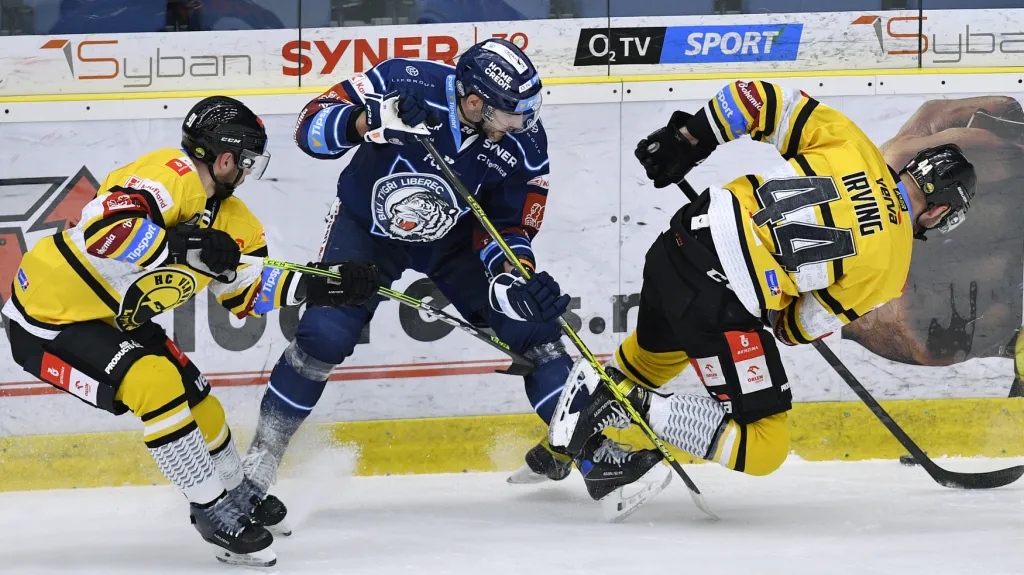 Souboj o puk mezi hráči Liberce a Litvínova