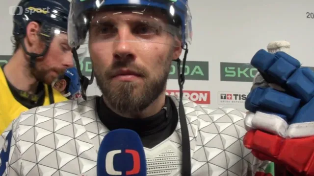 Michael Špaček: Hlídali si to a hráli, co potřebovali