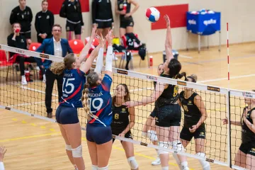 Utkání NVC – Šelmy Brno