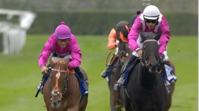 Cena zimní královny s ohlasy