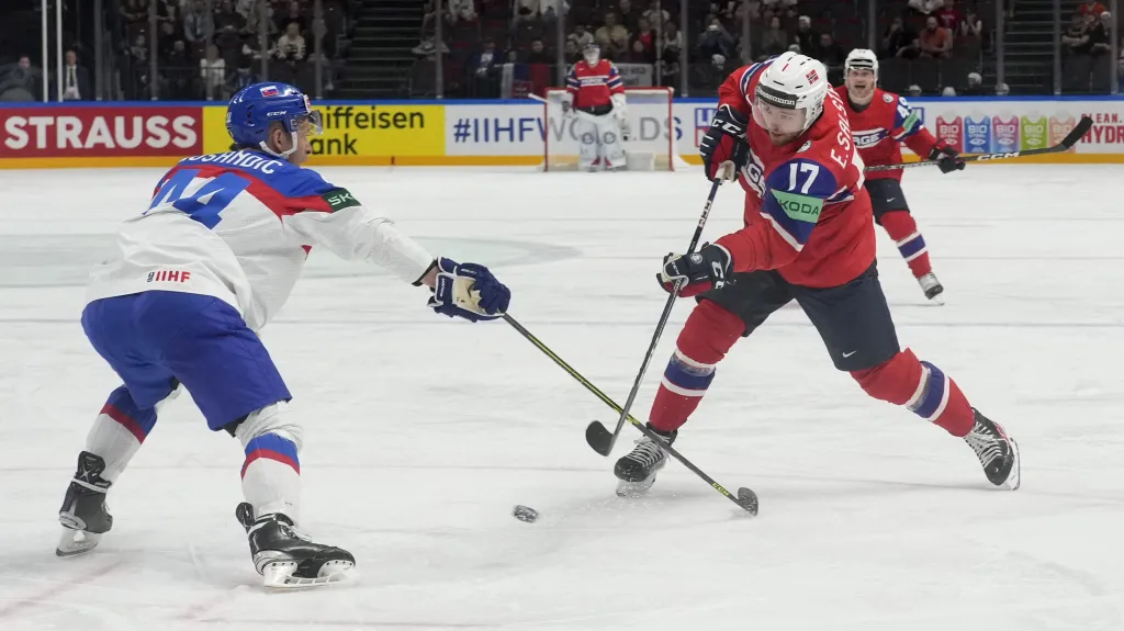 Slovensko – Norsko