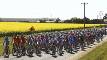 MS v silniční cyklistice