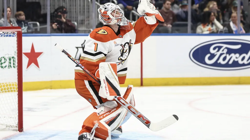 Lukáš Dostál z Anaheimu