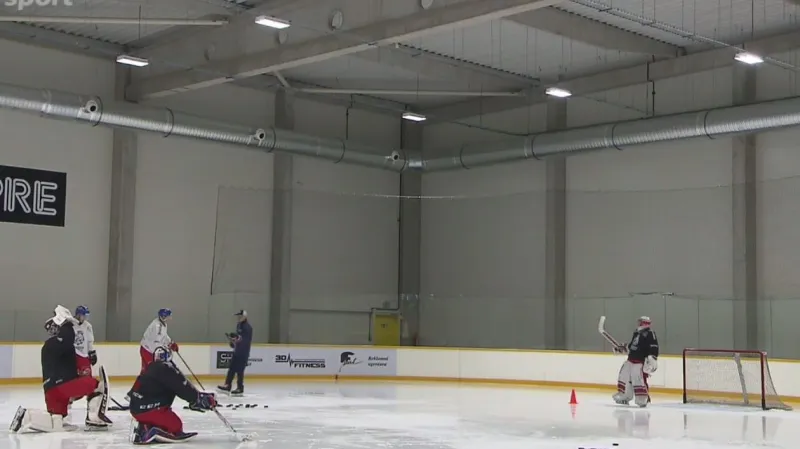 K hokejové reprezentaci se připojili útočníci Hanzl a Sekáč