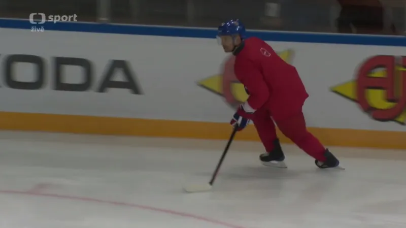 V nominaci reprezentace na MS jsou i Plekanec a Hyka