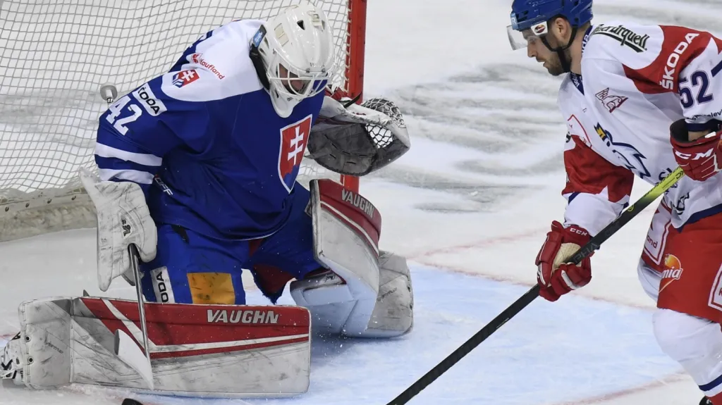 Utkání Česko - Slovensko