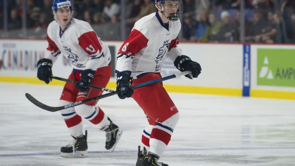 Čeští hokejisté v přípravném duelu s USA