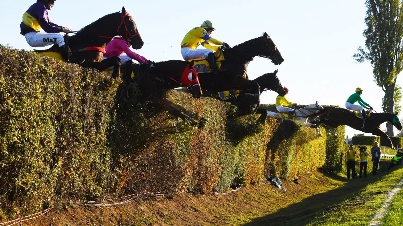 Koně nad Taxisovým příkopem