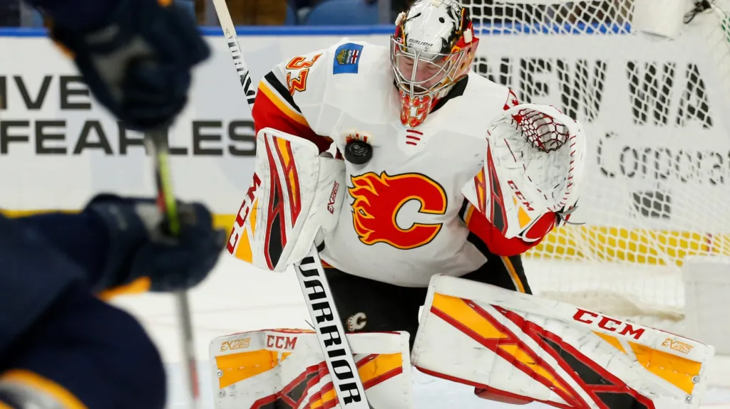 David Rittich v akci