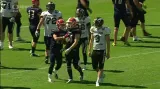 Black Panthers v pohodě přehráli trápící se Lions 27:7