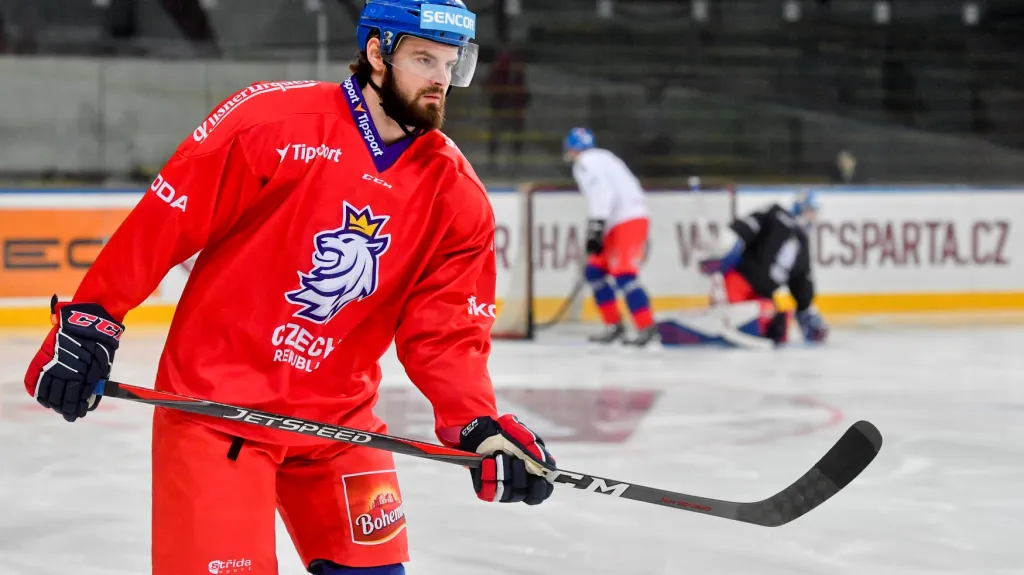 Reprezentační útočník Roman Horák