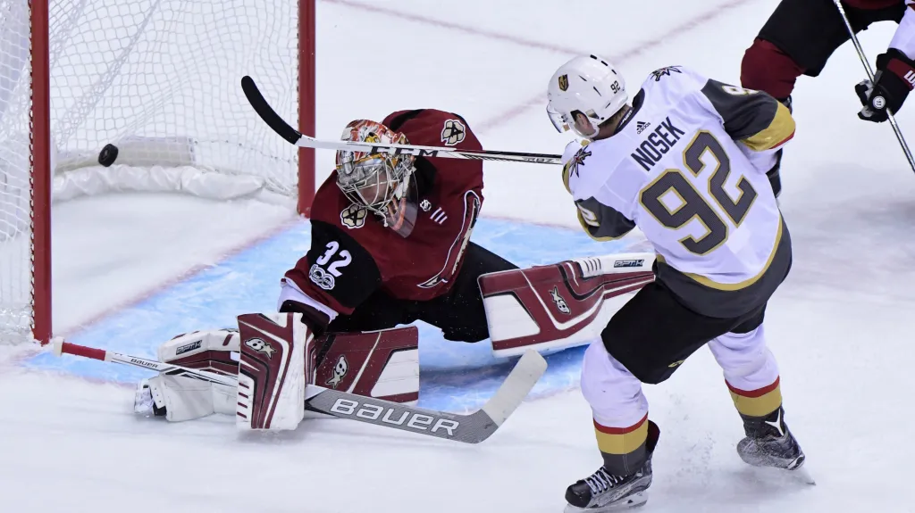 Tomáš Nosek skóruje proti Arizoně