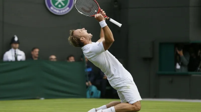 Steve Darcis