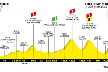 Profil 15. etapy Tour de France 2019