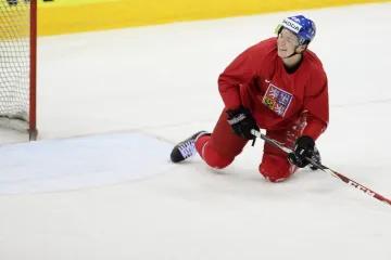 Tomáš Hertl