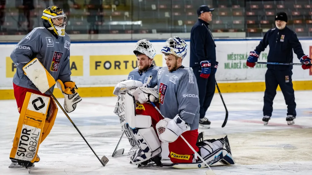 Čeští hokejoví brankáři