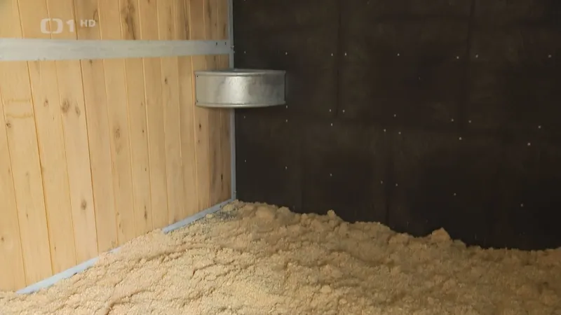 Koně si před Velkou pardubickou užijí komfort nových stájí