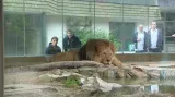 Basketbalisté navštívili zoo