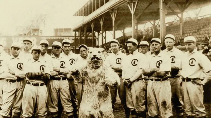 Hráči Chicaga s klubovým maskotem po vítězství ve Světové sérii 1908