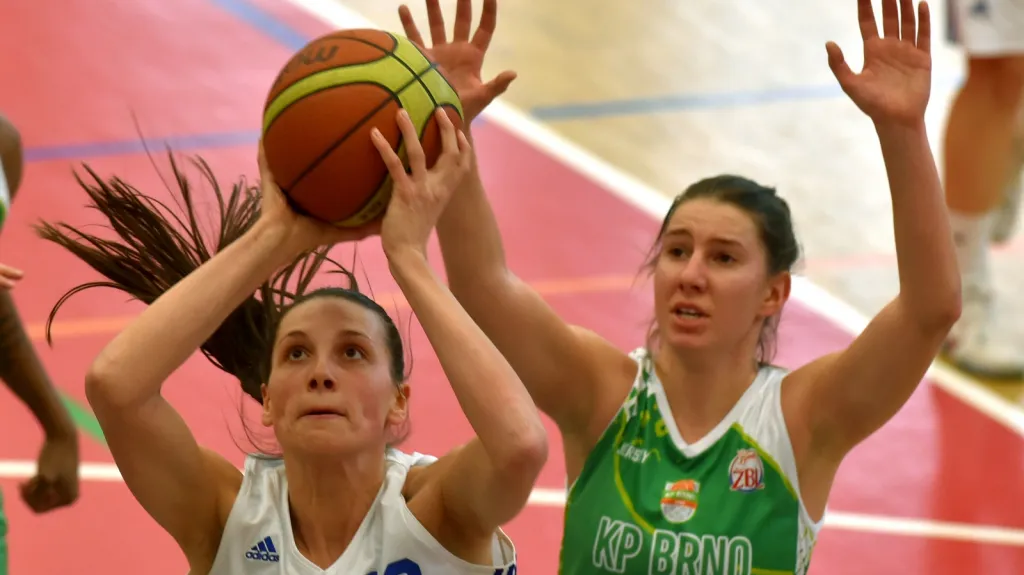Ženská basketbalová liga