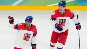 Gól v utkání Kanada – Česko: Pastrňák – 1:2 (15. min.)