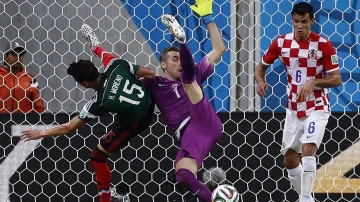 Chorvatský brankář Stipe Pletikosa