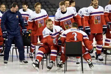 Čeští hokejisté se baví při oficiálním focení