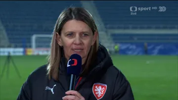 Ohlasy po utkání Česko – Wales