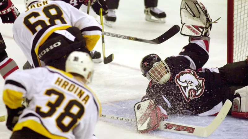 Hašek: Myslím, že branky se budou muset zvětšit