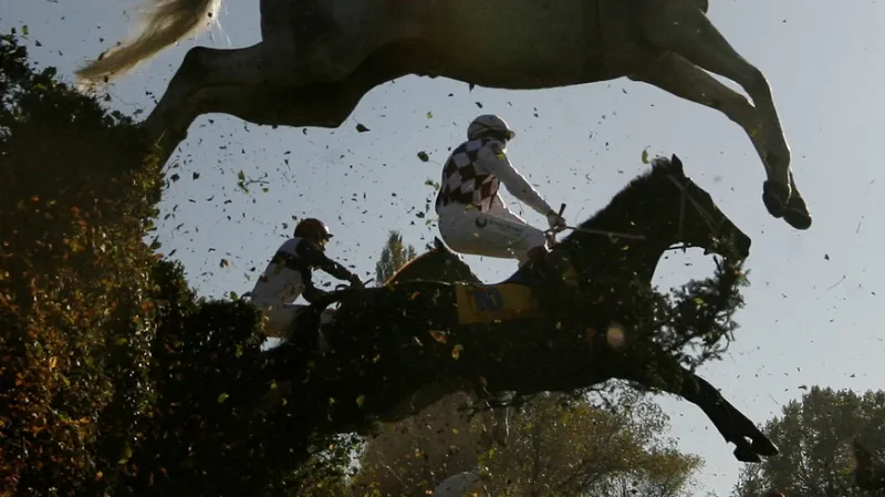 Taxis je symbolem Velké pardubické