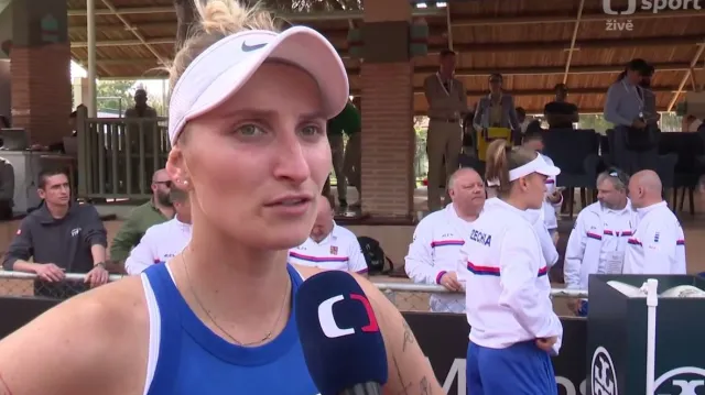 Ohlasy po utkání Ukrajina – Česko