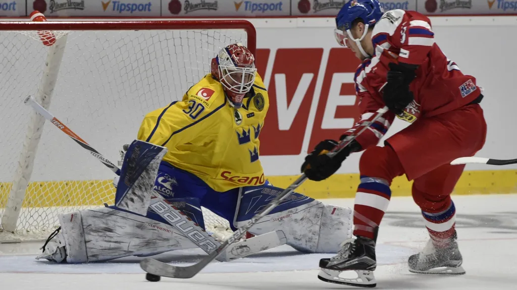 Utkání Česko - Švédsko