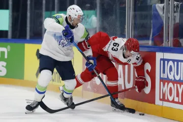Utkání Dánsko – Slovinsko
