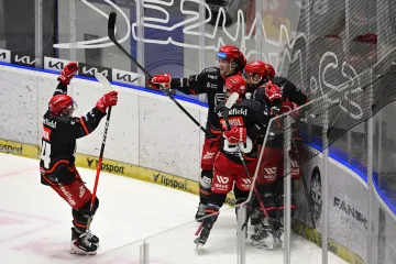 Radost hokejistů Hradce Králové