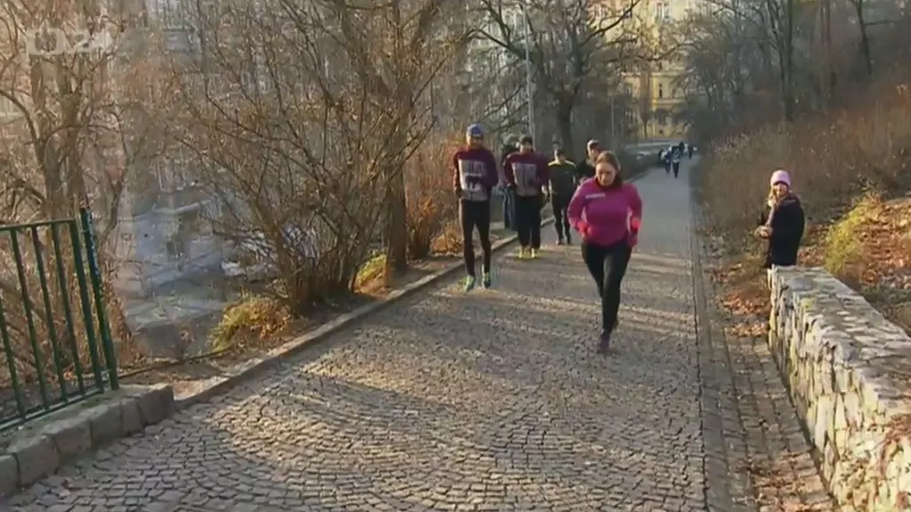 Běžci se s rokem rozloučili v Riegrových sadech