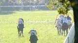 Sporný moment v závěru Velké pardubické