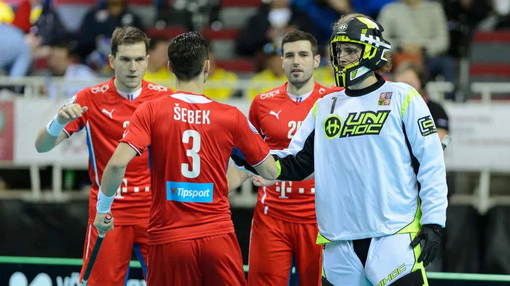 Čeští florbalisté