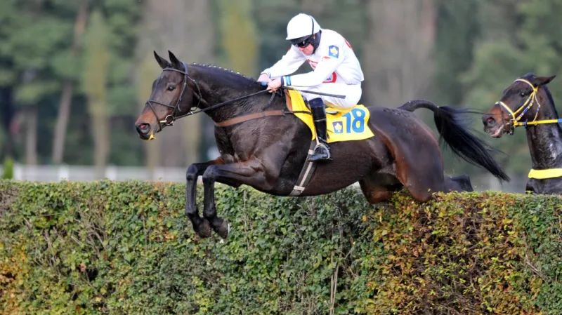 Orphee des Blins s Janem Faltejskem byli suverénní