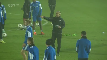 Plzeň se v EL chystá na Fenerbahce, chce udržet neporazitelnost