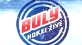 Buly - hokej živě