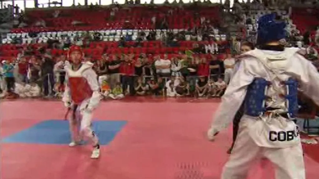 Čeští taekwondisté usilují o účast na olympijských hrách