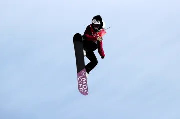 Šárka Pančochová