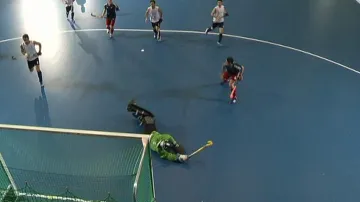Halový pozemní hokej
