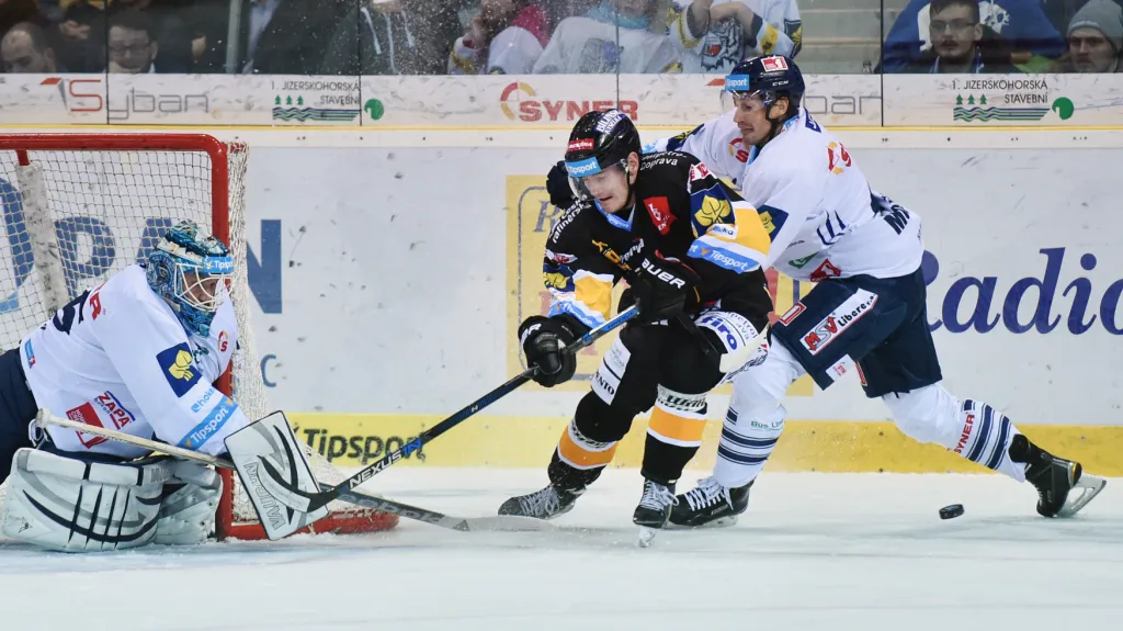 Utkání Liberec - Litvínov