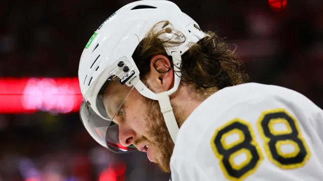 Pastrňák vyhrál posedmé anketu Zlatá hokejka